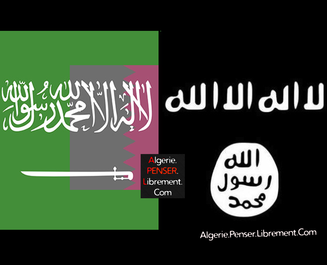 Photo of Soutien au terrorisme : l&rsquo;Arabie saoudite se blanchit sur le dos du Qatar